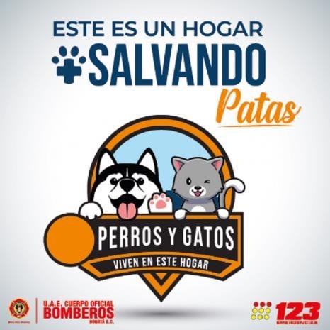 Inscripción de mascotas y prevención para su cuidado