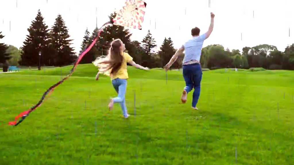 Comunicado de Prensa