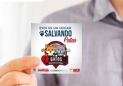 Comunicado de Prensa