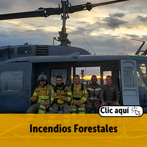 Incendios Forestales