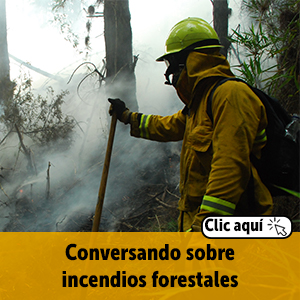 Bombero apagando incendio en bosque