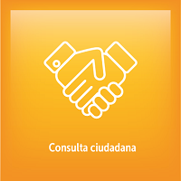 Acceso a consulta ciudadana