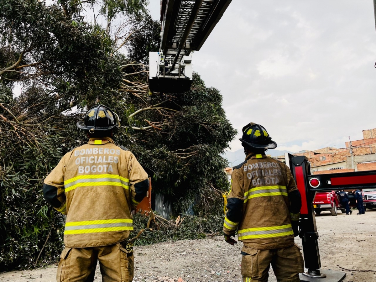 Destrucción de pólvora controlada por Bomberos Bogotá 