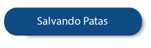 Salvado Patas