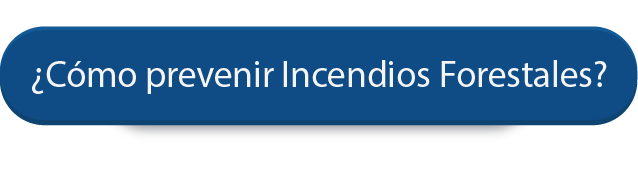 Prevencion de incendios forestales
